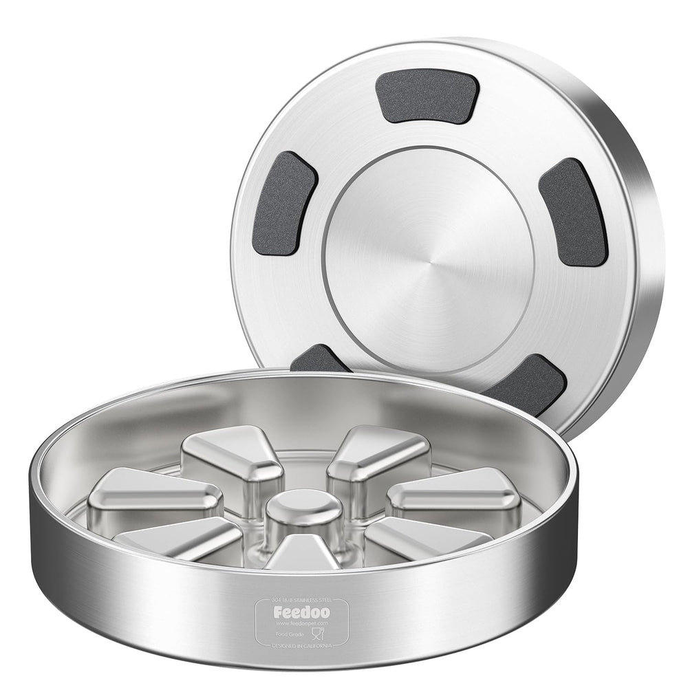 Feedoo gamelle remplie de croquettes montrant compatibilité aliments secs