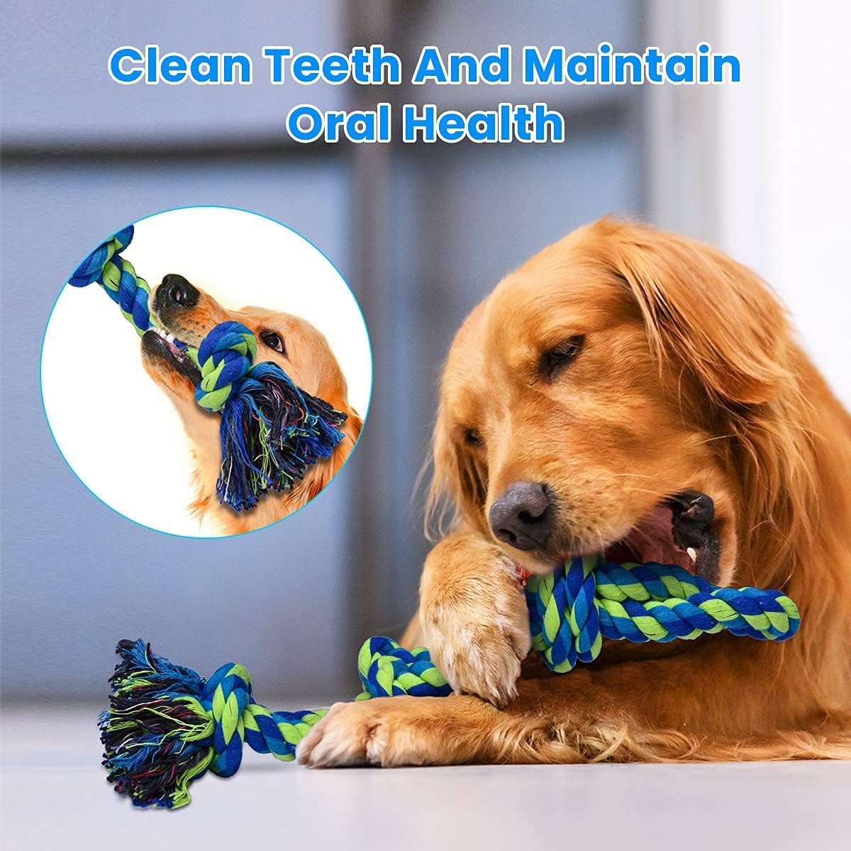 Scène de vie avec chien adulte utilisant corde Feeko, divertissement durable