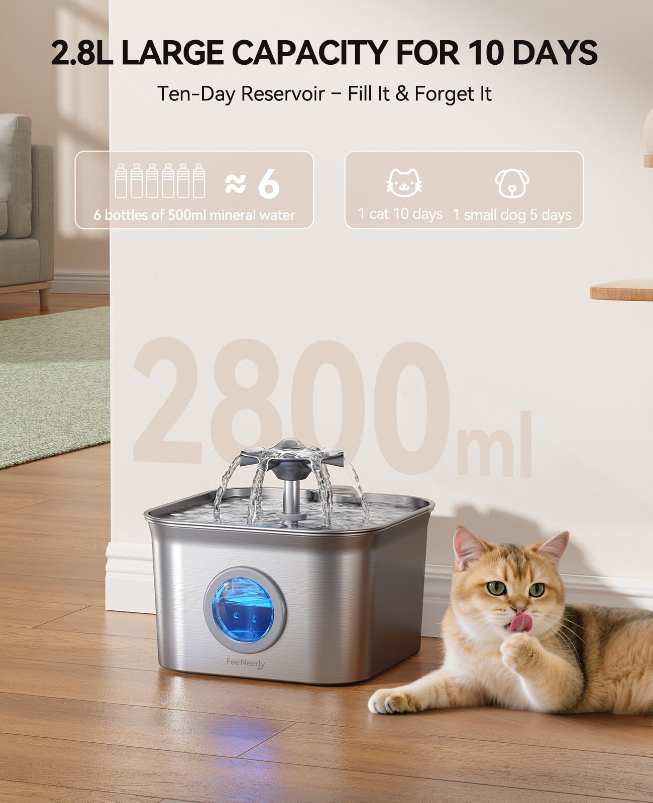 FEELNEEDY chat buvant sereinement grâce à eau oxygénée et fraîche