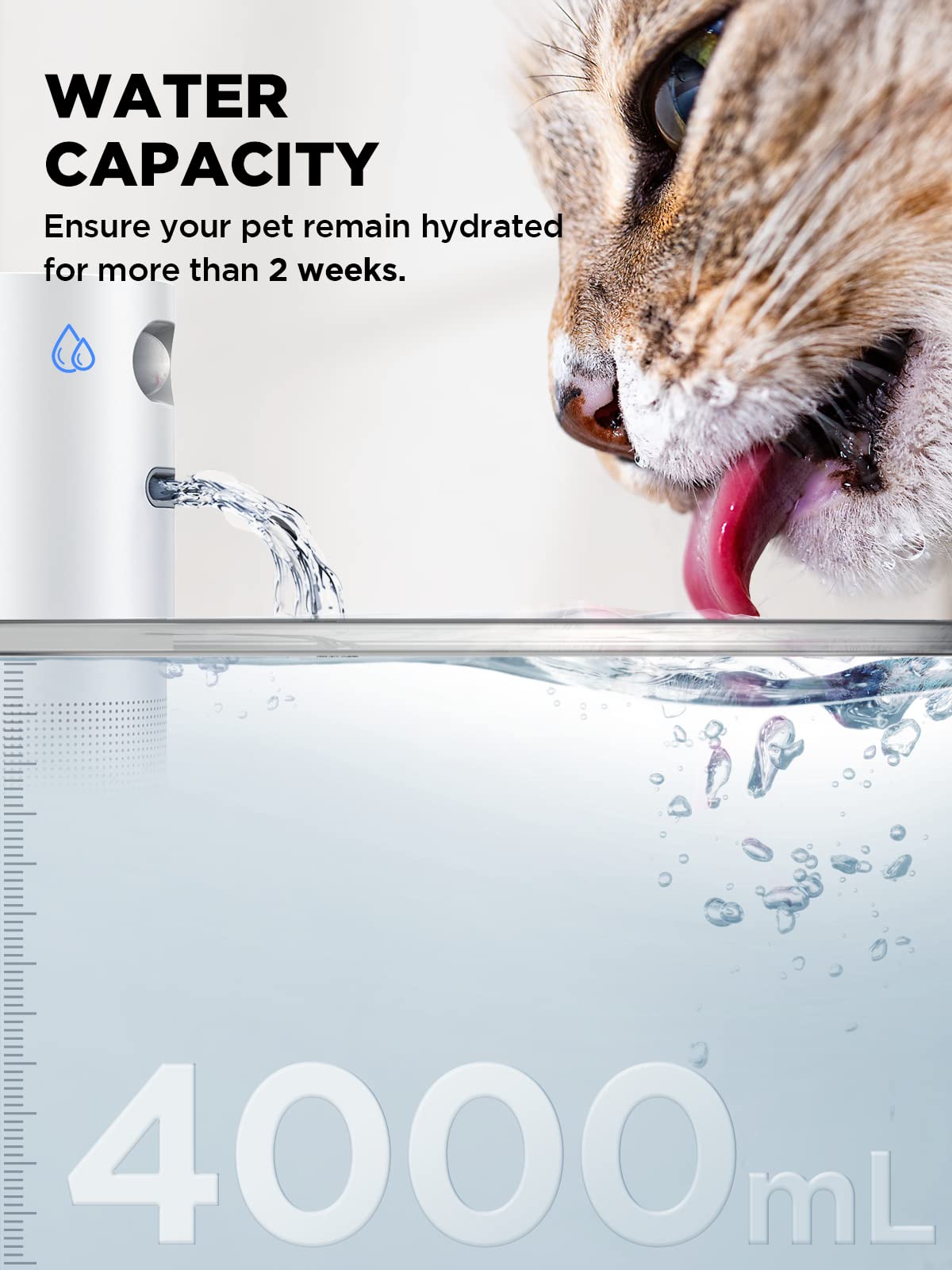 FEELNEEDY pack de 6 filtres charbon actif purifie et améliore le goût de l’eau