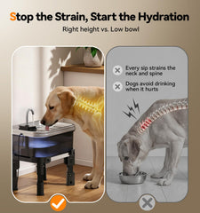 FEELNEEDY support réglable quatre hauteurs apportant confort postural au chien