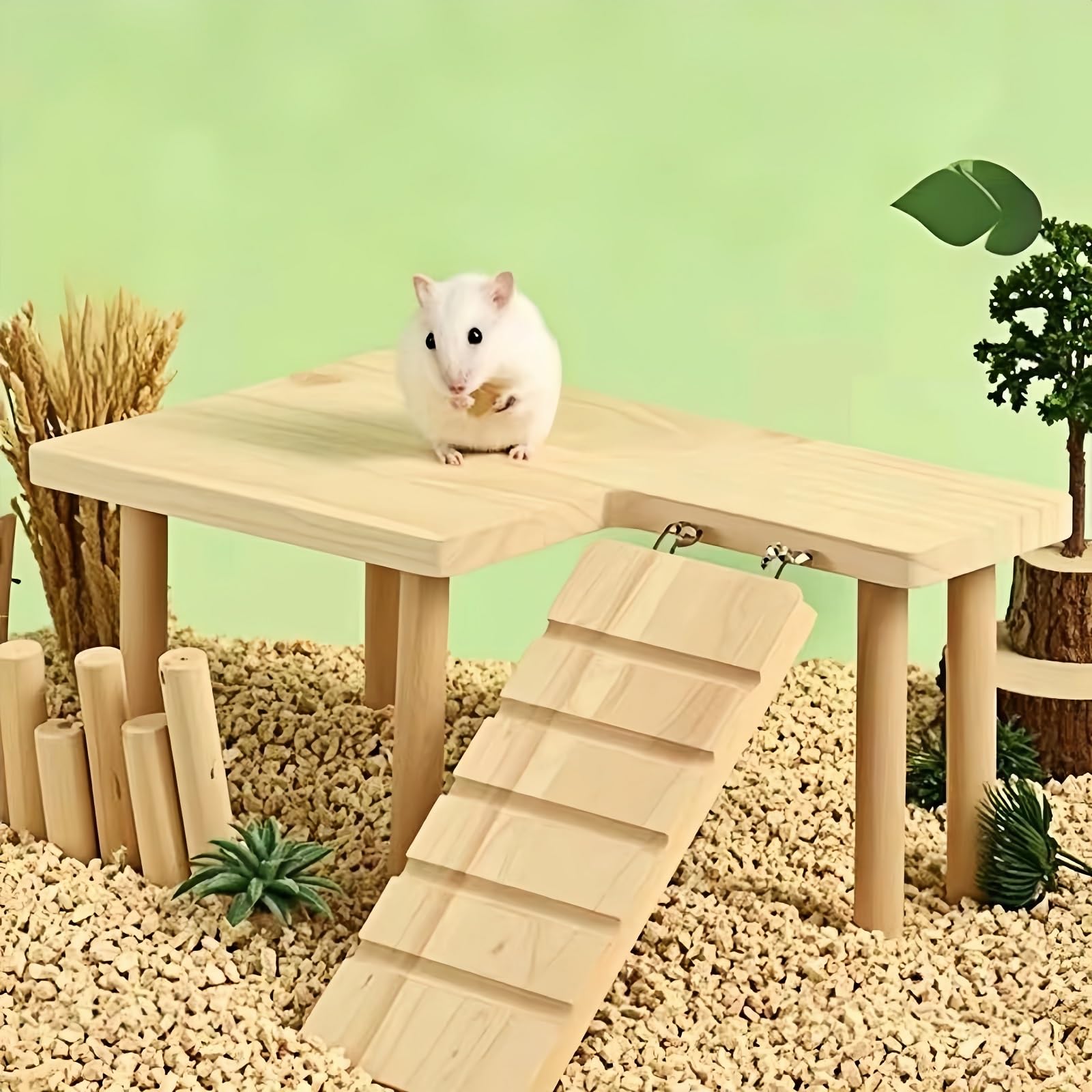 Feiena comparaison taille avec hamster illustre espace utilisable