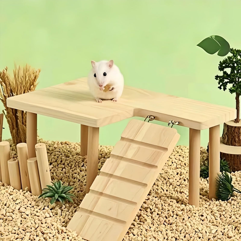 Feiena comparaison taille avec hamster illustre espace utilisable