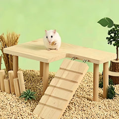 Feiena comparaison taille avec hamster illustre espace utilisable