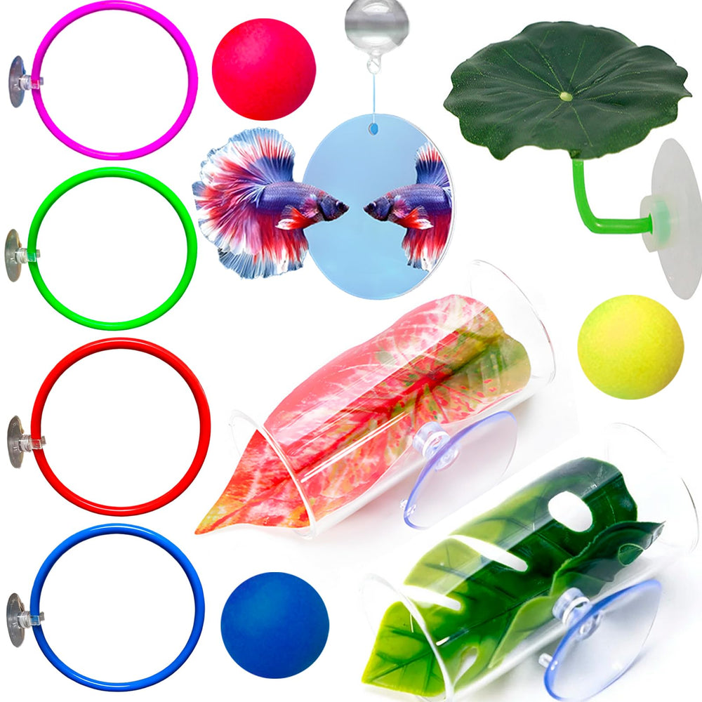 Fejapa vue avant du kit 11 pièces montrant tous les accessoires et bénéfices