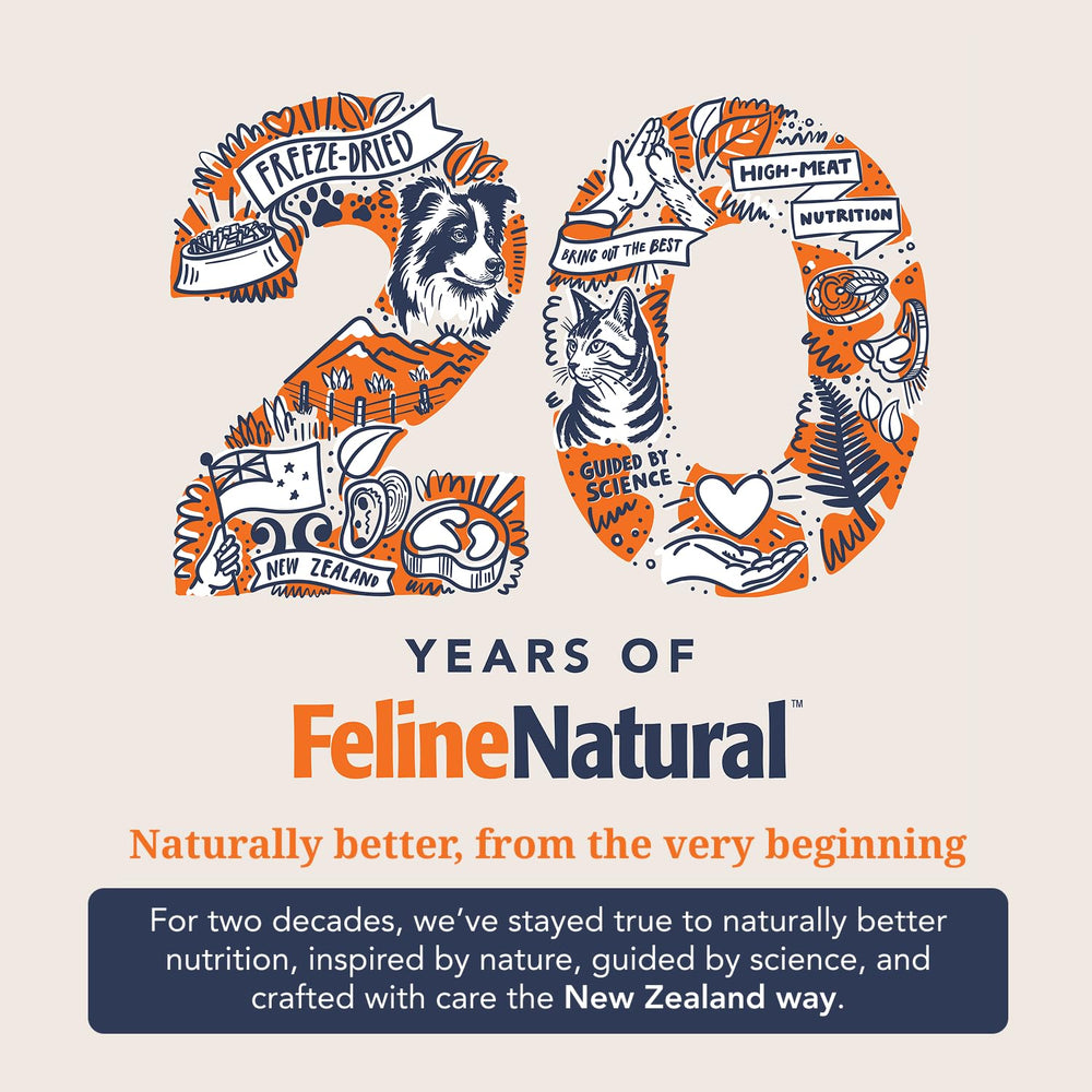 Feline Natural mise en scène lifestyle repas de chat attirant l'œil