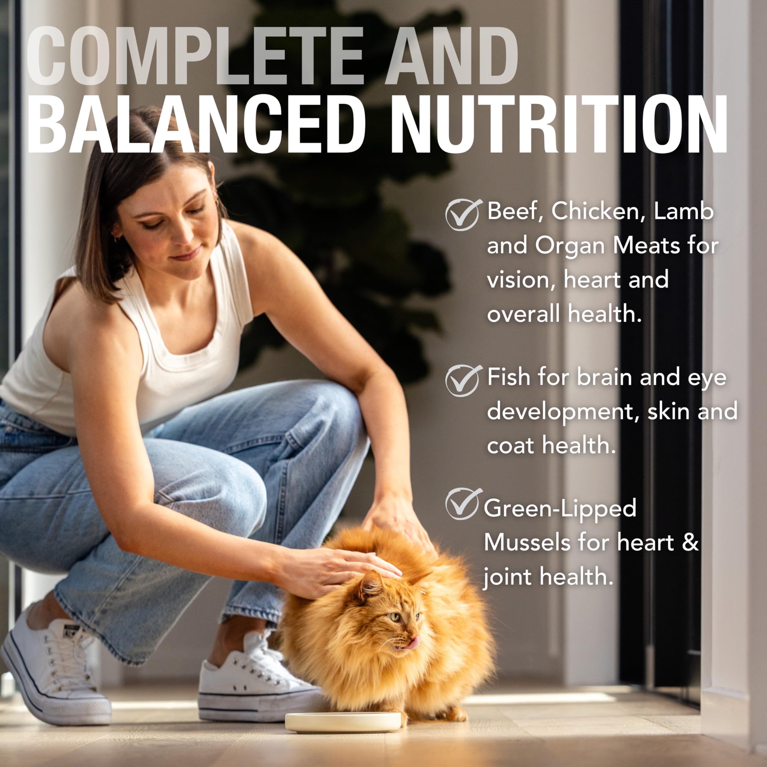 Feline Natural sachet tenu en main pour évaluer la taille et portion pratique
