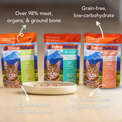Feline Natural texture pâté en gros plan transmettant appétence et hydratation