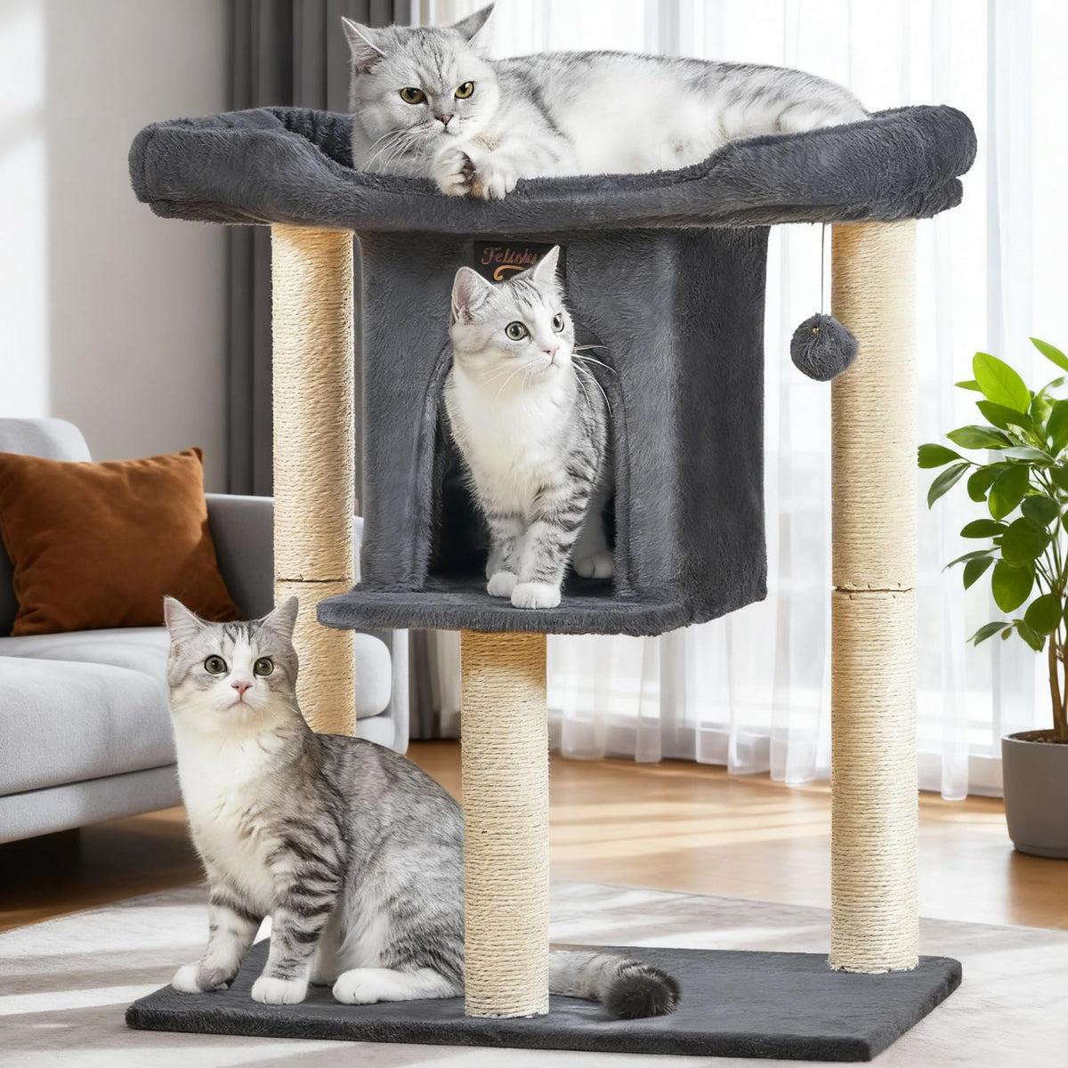 Feliskyn vue avant de l'arbre à chat, solide et compact bénéfice espace
