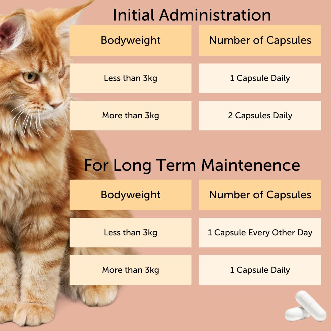 Comparaison taille FELIWAY Cystease et pièce montrant l’échelle pour une administration sécurisée