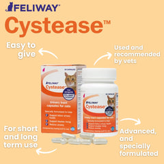 FELIWAY Cystease comprimés gros plan illustrant la texture pour une administration facile