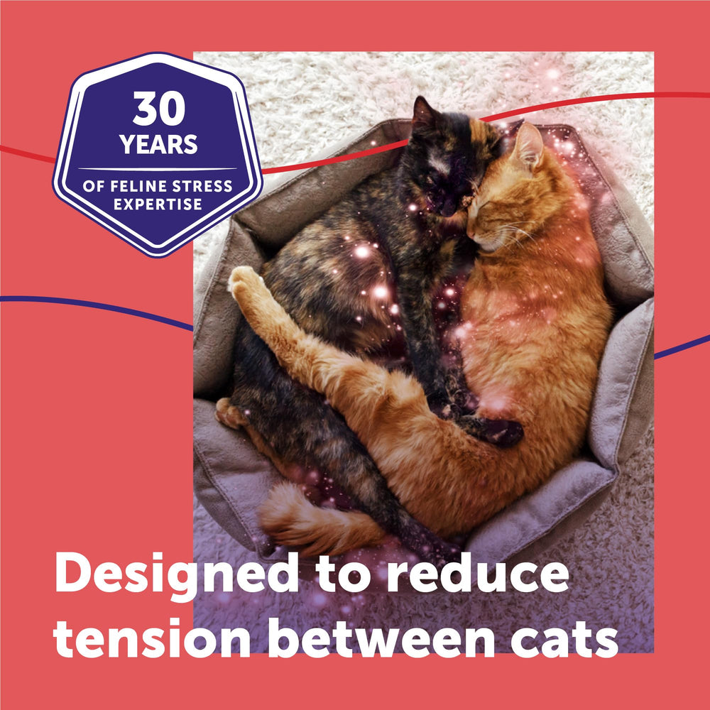 FELIWAY MultiCat insertion recharge dans diffuseur pour installation facile