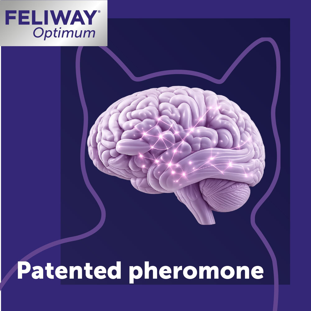 FELIWAY Optimum lifestyle chat détendu sur canapé montrant réduction stress