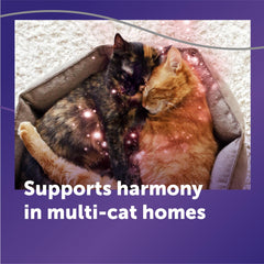 FELIWAY Optimum démonstration échelle pièce indiquant grande couverture