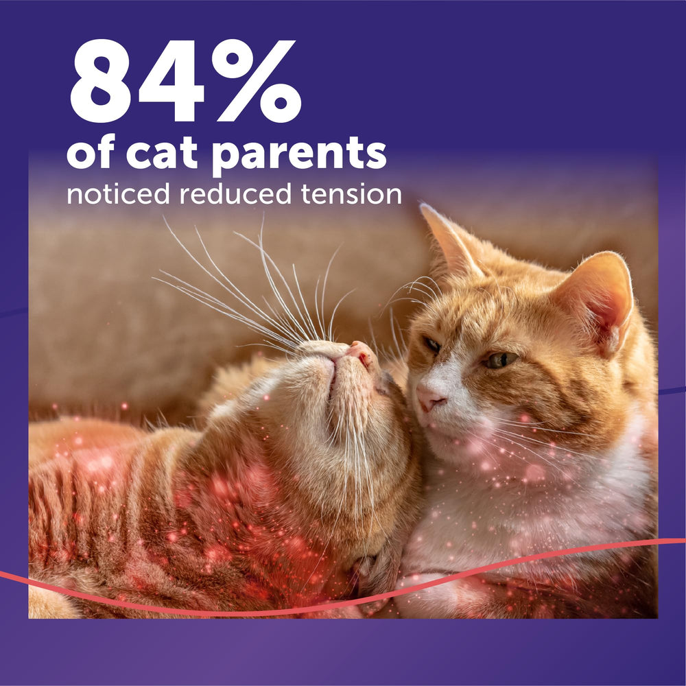 FELIWAY recharge en gros plan illustrant la simplicité de remplacement