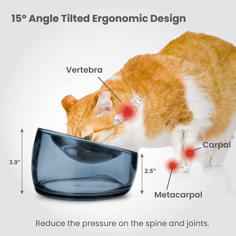 Felli chat mange confortablement démontrant posture améliorée et tranquillité
