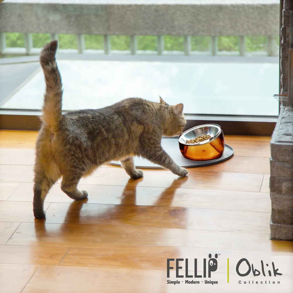 Chat mange dans gamelle Felli Oblik, réduit fatigue des vibrisses