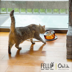 Chat mange dans gamelle Felli Oblik, réduit fatigue des vibrisses