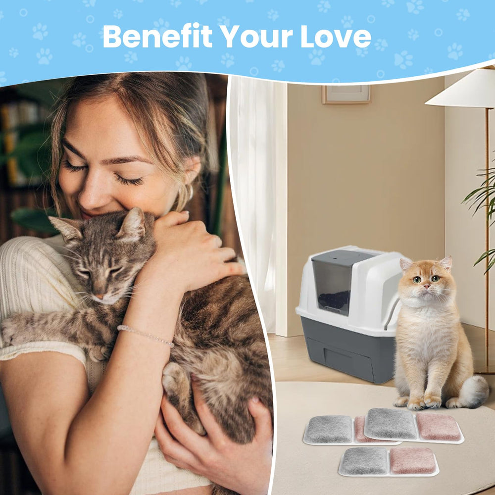 Fenkabs scène salon avec bac Catit propre montrant confort olfactif à la maison