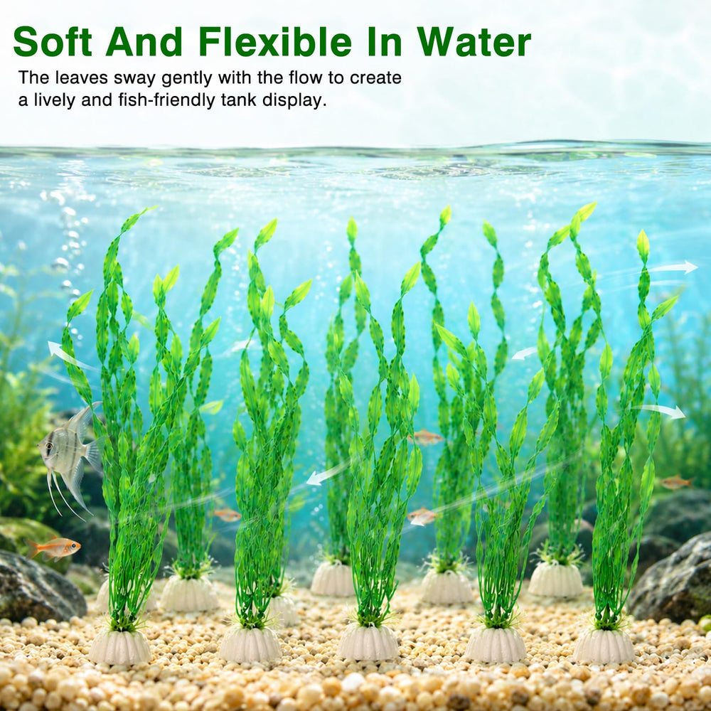 FENQAROVIX détail couleur verte stable résiste au ternissement