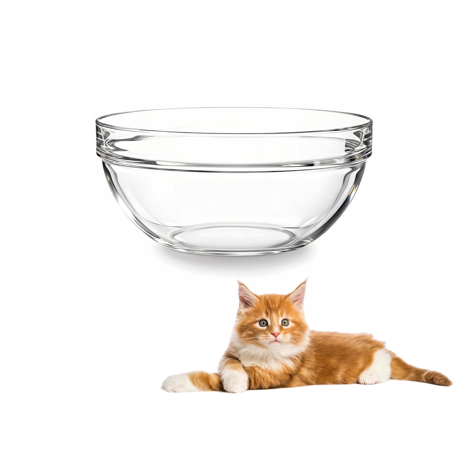 Feoyoho bol en verre face avant, design transparent et hygiénique