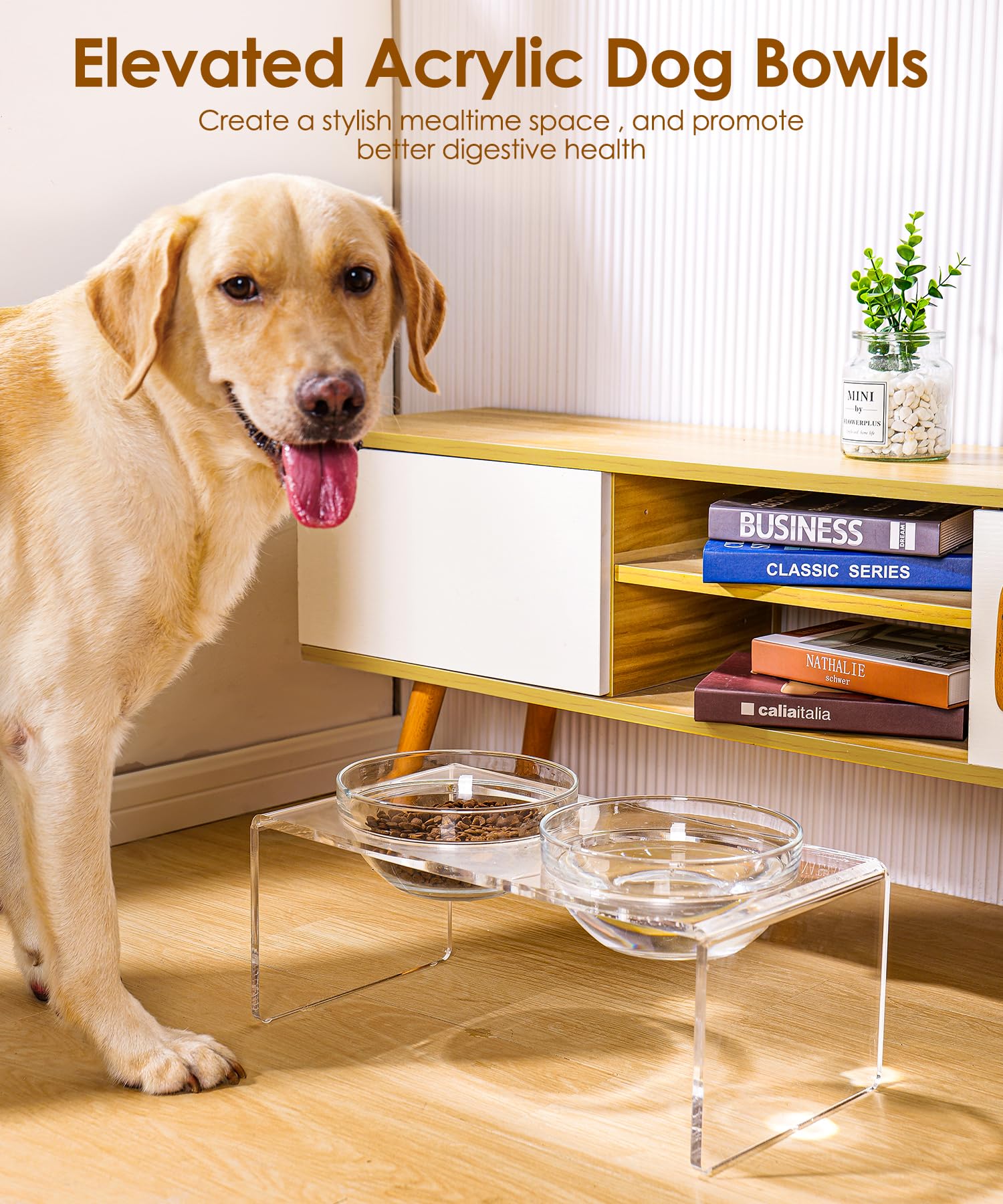 Feoyoho comparaison échelle montre hauteur 7,2 pouces pour grands chiens