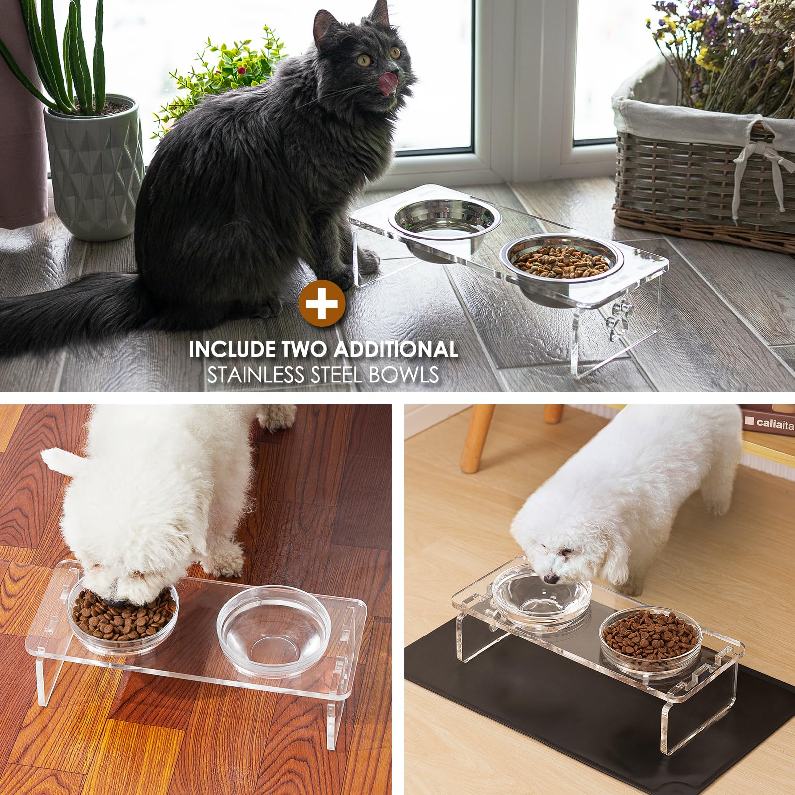 Feoyoho comparaison de taille avec jouet montrant l'échelle pour petits animaux
