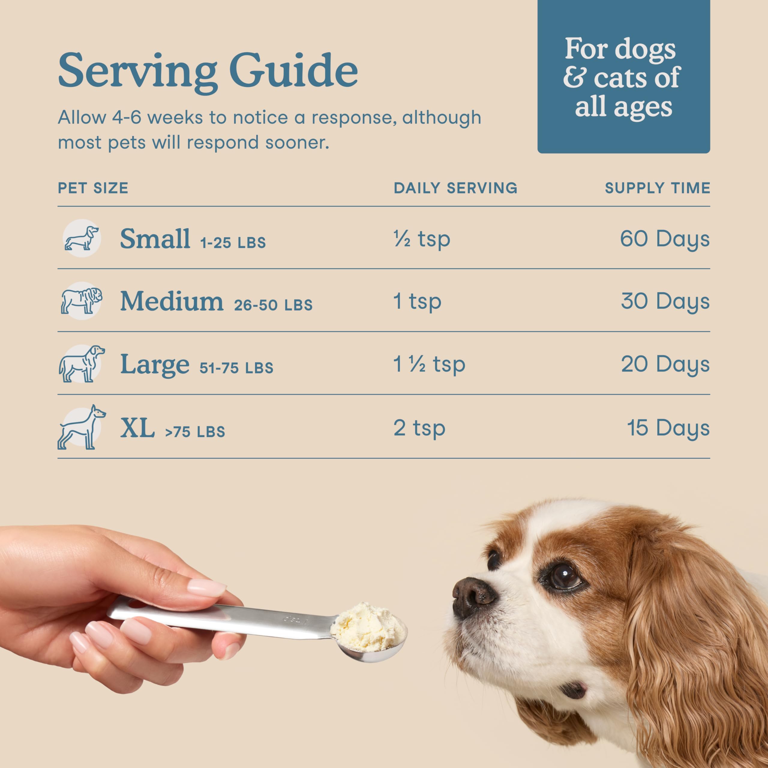 Fera Pets poudre versée sur croquettes pour acceptation et appétence