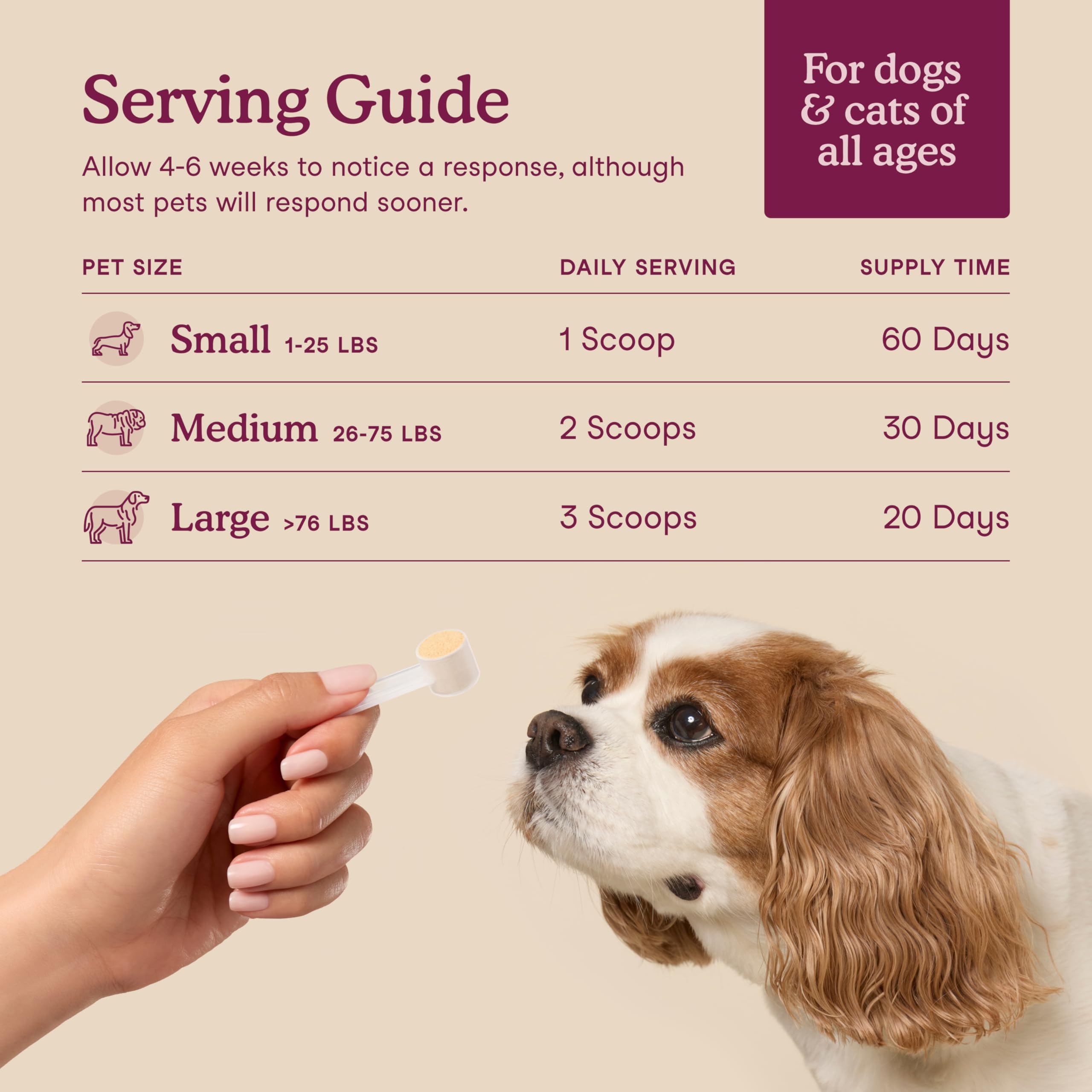 Fera Pets étiquette nutrition avec liste d’ingrédients pour transparence