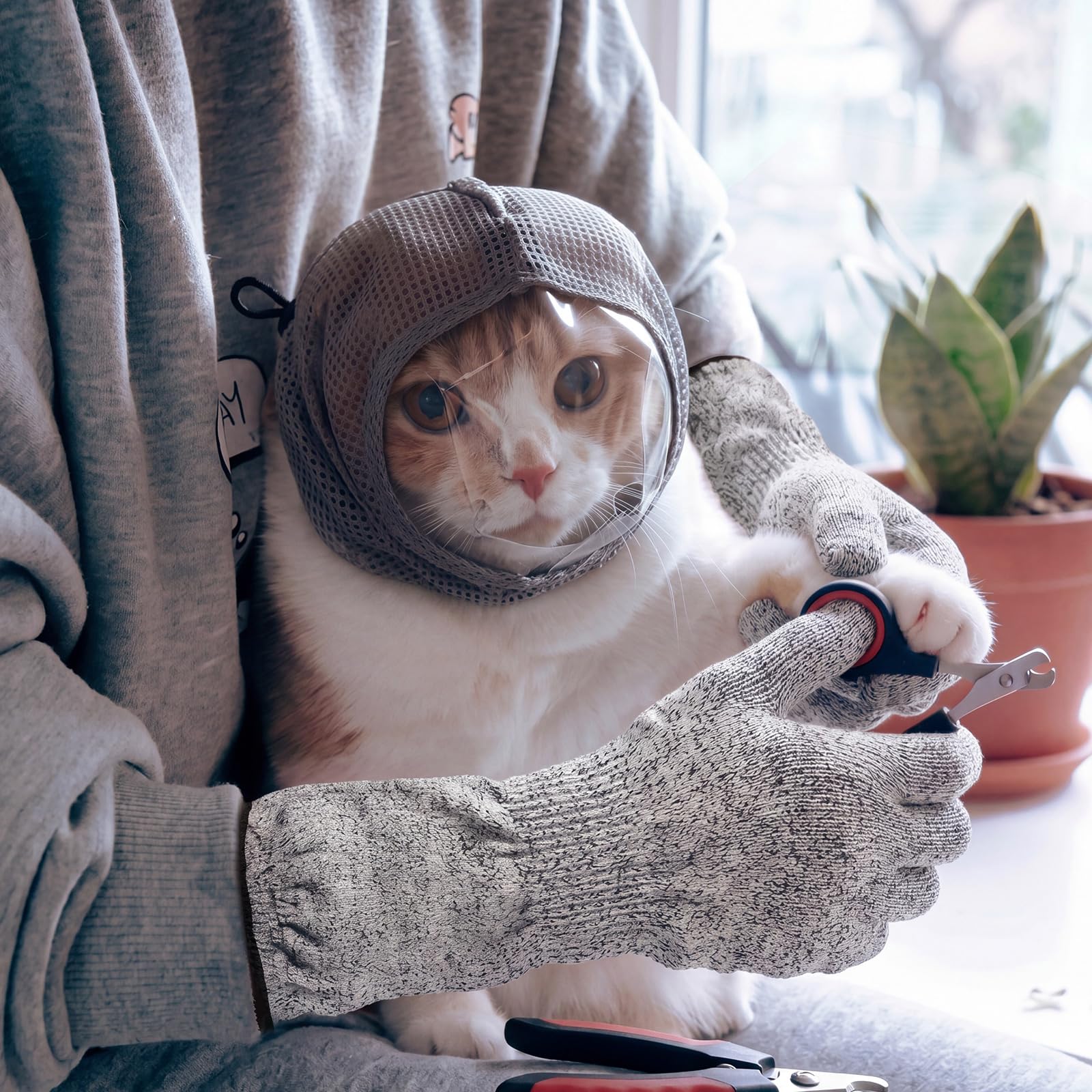 Ferrochef kit en usage lors du toilettage, réduisant stress du chat
