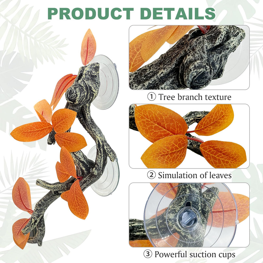 Fhiny comparaison taille montrant proportions pour reptiles