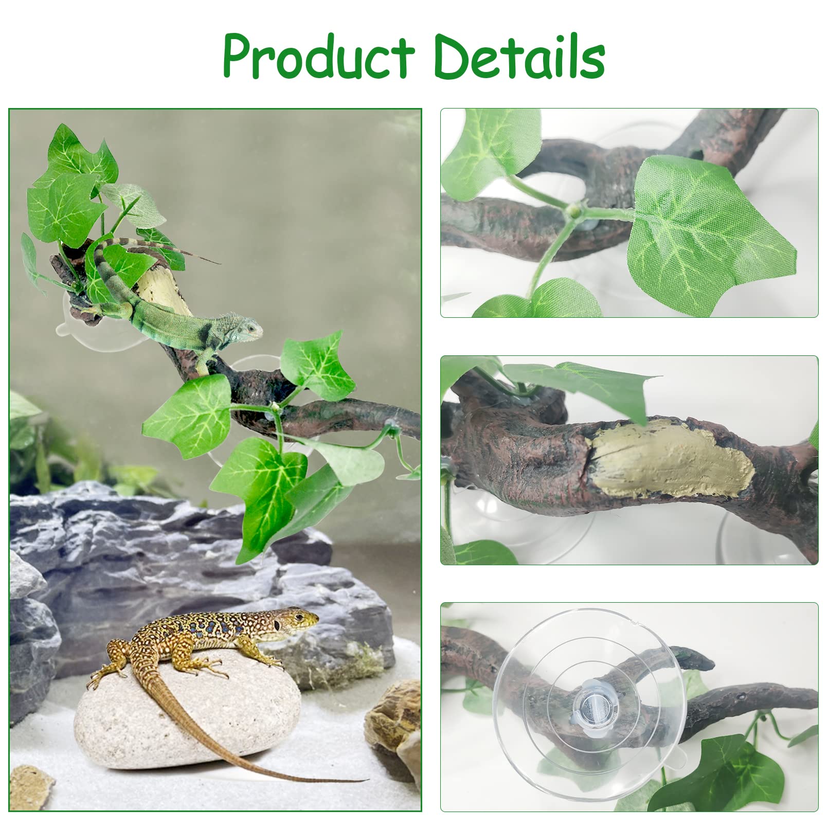 Branche Fhiny dans terrarium en action avec gecko grimpant et cachette