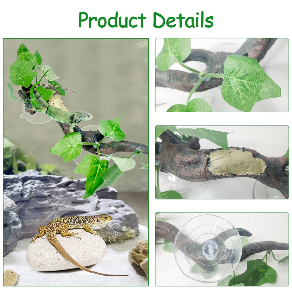 Branche Fhiny dans terrarium en action avec gecko grimpant et cachette