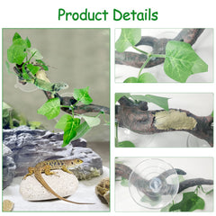 Branche Fhiny dans terrarium en action avec gecko grimpant et cachette