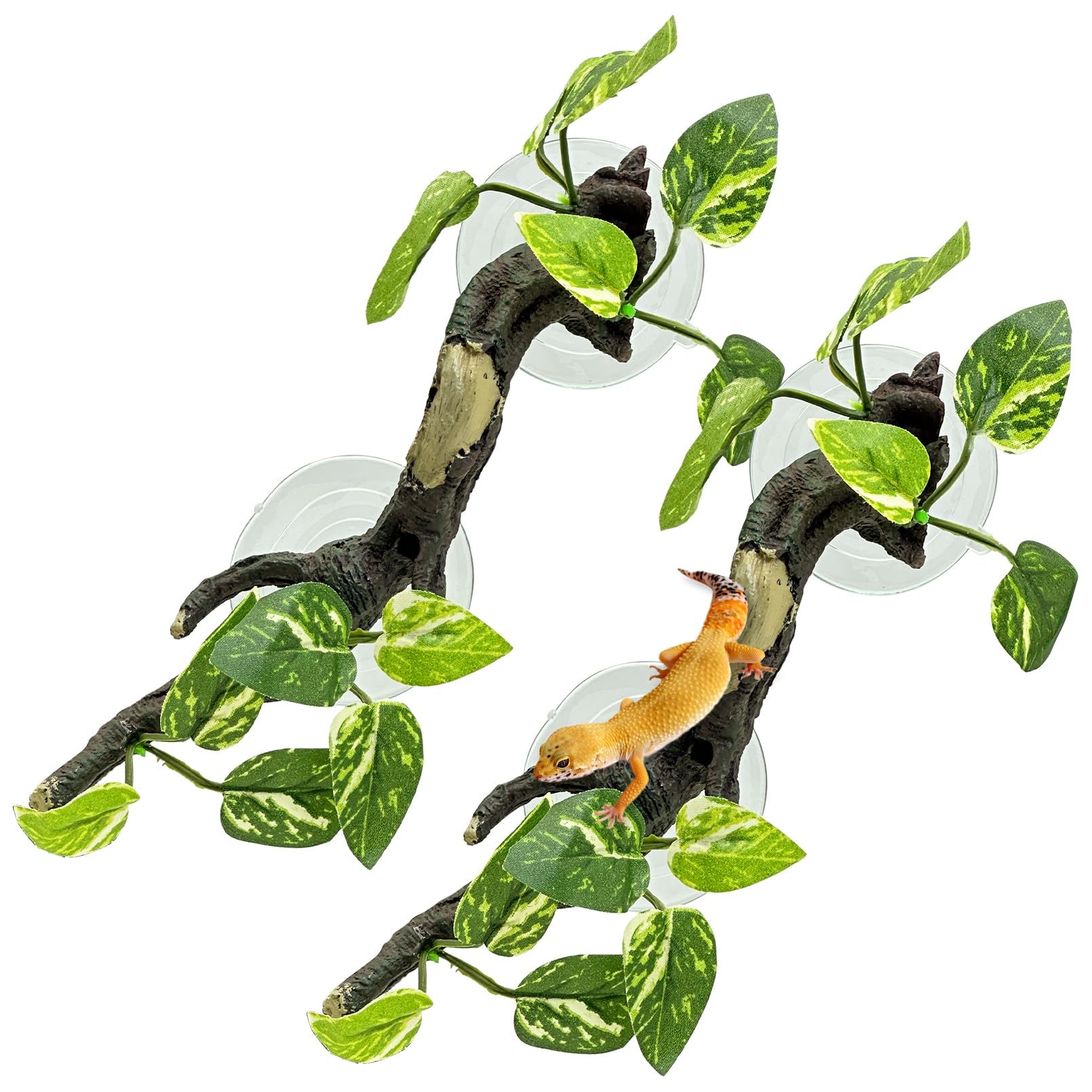 Fhiny branche face avant montrant forme réaliste et esthétique sécurisante
