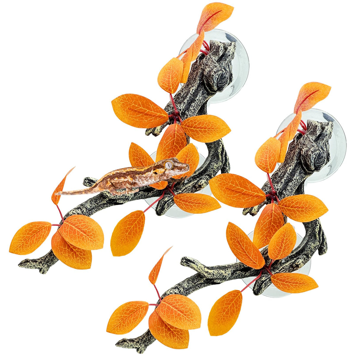 Fhiny branche face avant montrant perchoir naturel et durable