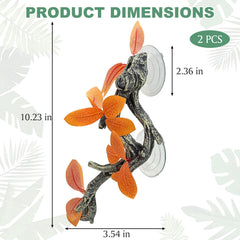 Fhiny ventouse en détail assurant fixation stable sur verre