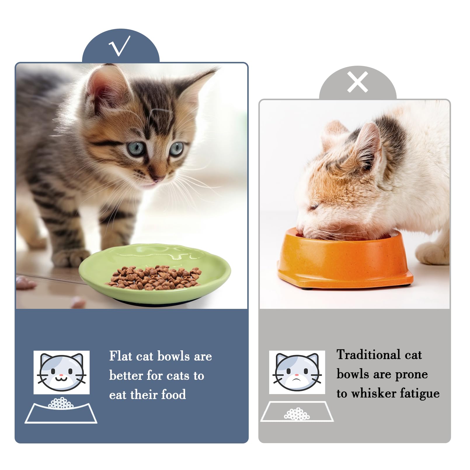 Fhiny deux bols sur tapis de repas, organisation hygiénique pratique