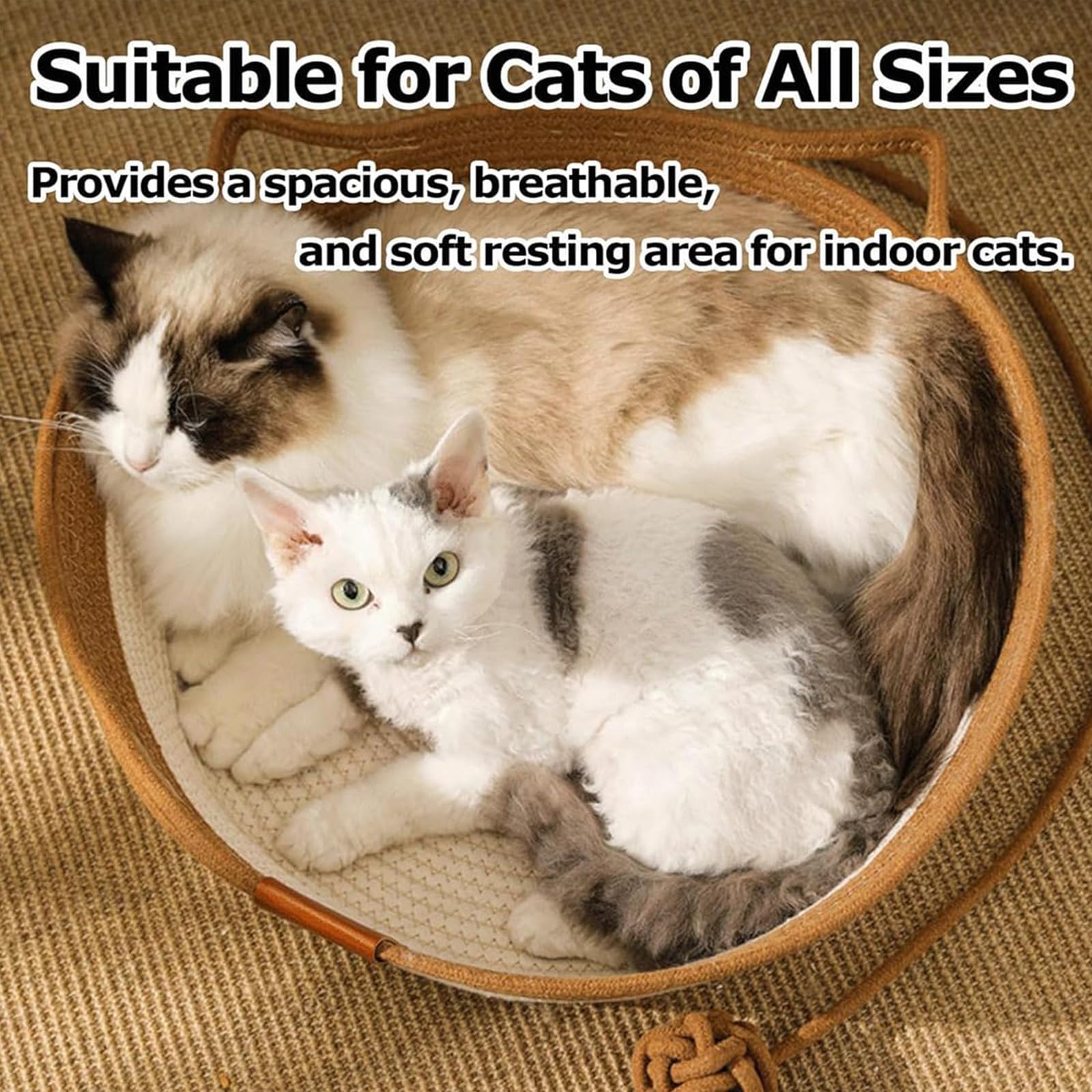 FHKPET panier à l’échelle comparé à un chat pour dimensions claires
