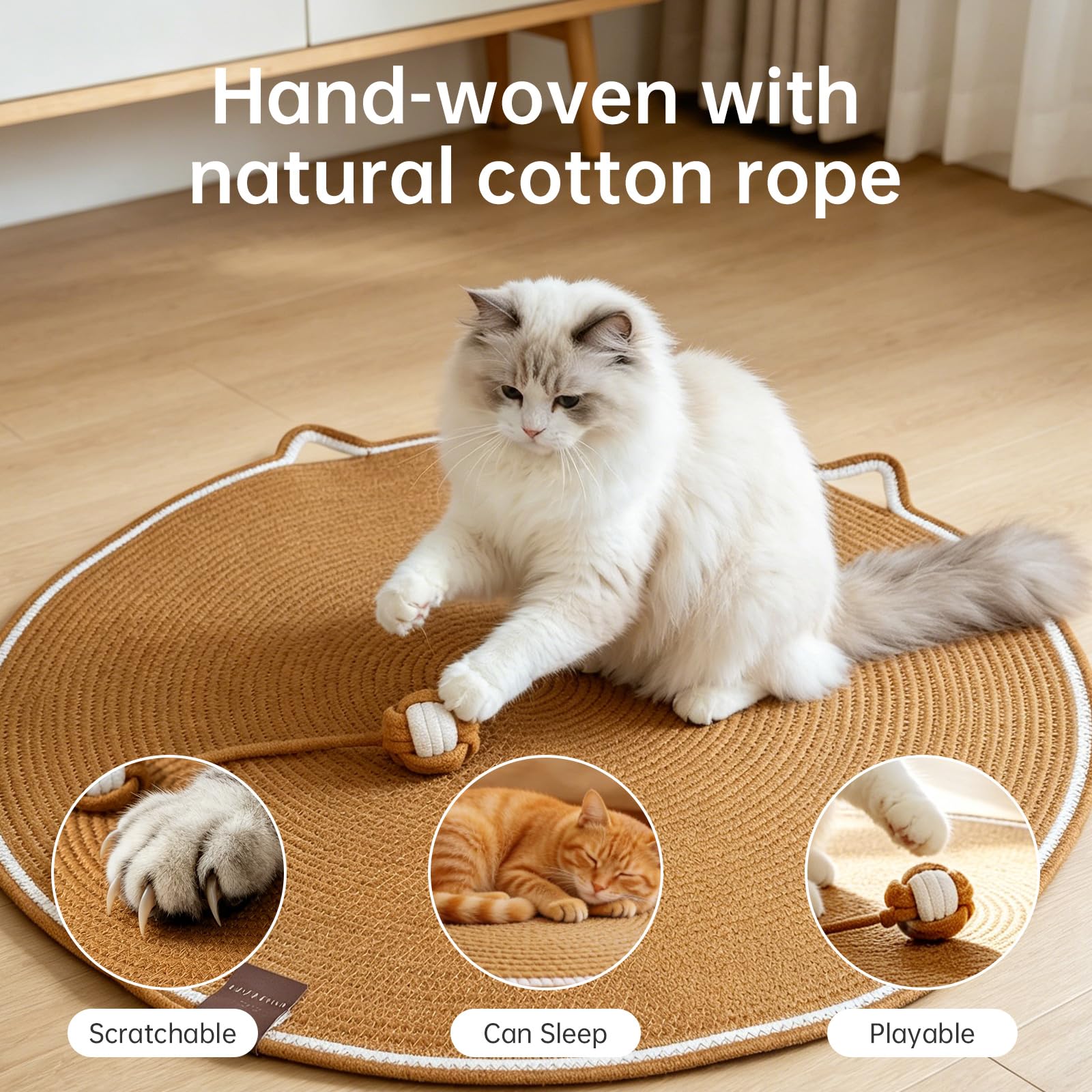 FHKPET chat utilisant tapis montrant confort et divertissement