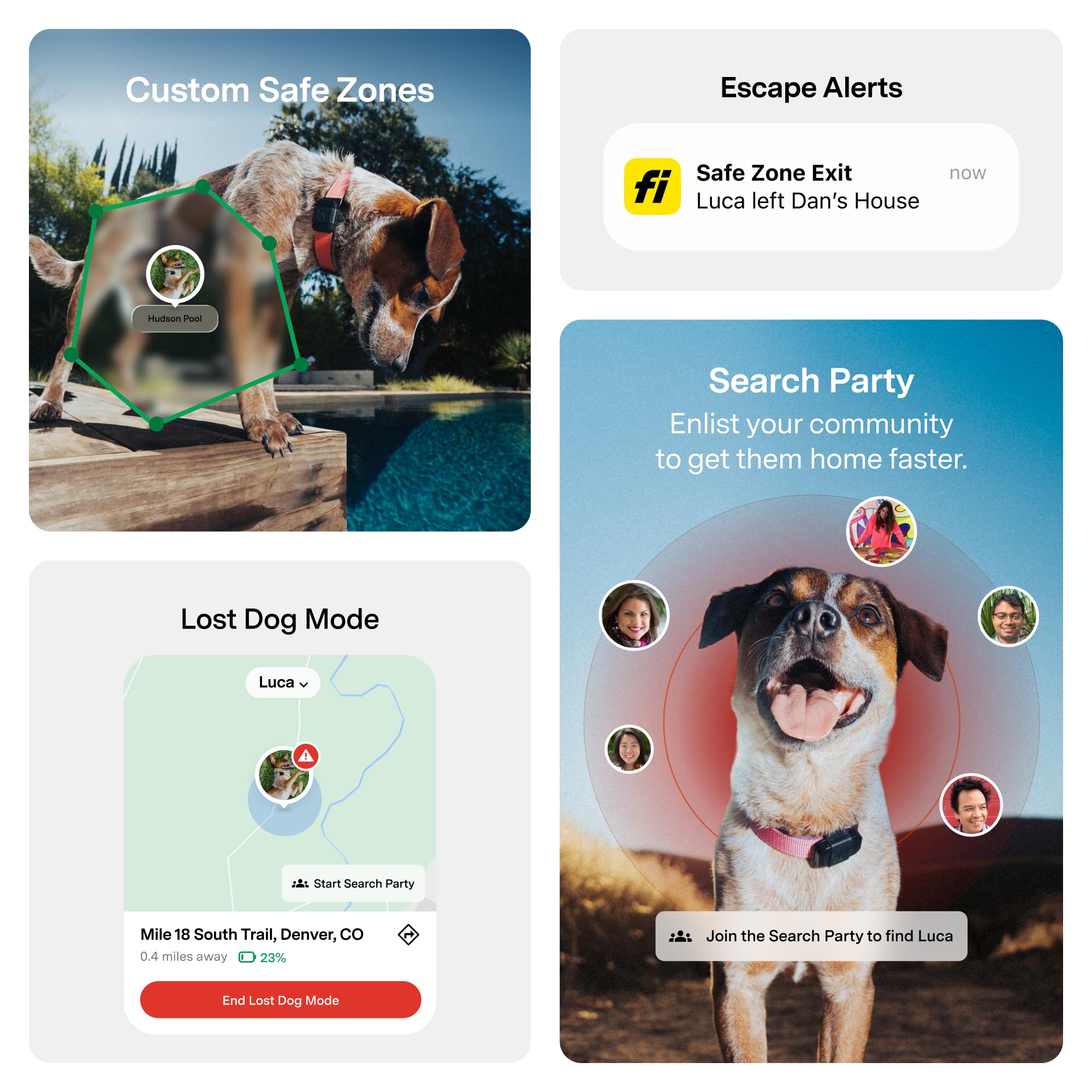 Chien courant équipé du Fi Mini Fi démontrant localisation en extérieur