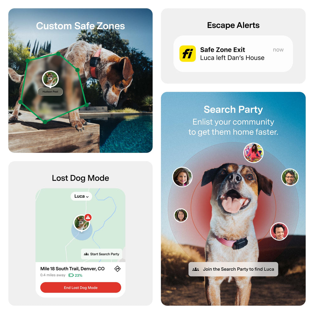Chien courant équipé du Fi Mini Fi démontrant localisation en extérieur