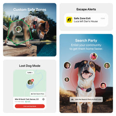 Chien courant équipé du Fi Mini Fi démontrant localisation en extérieur
