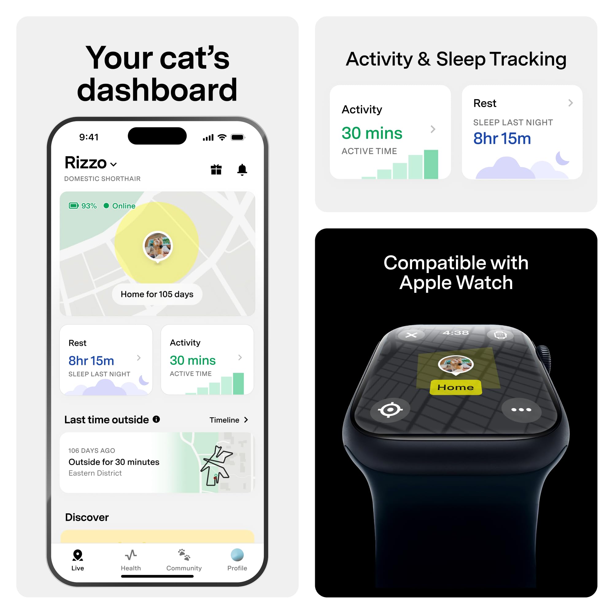 Fi Mini sur chat en extérieur montrant tranquillité et repérage immédiat