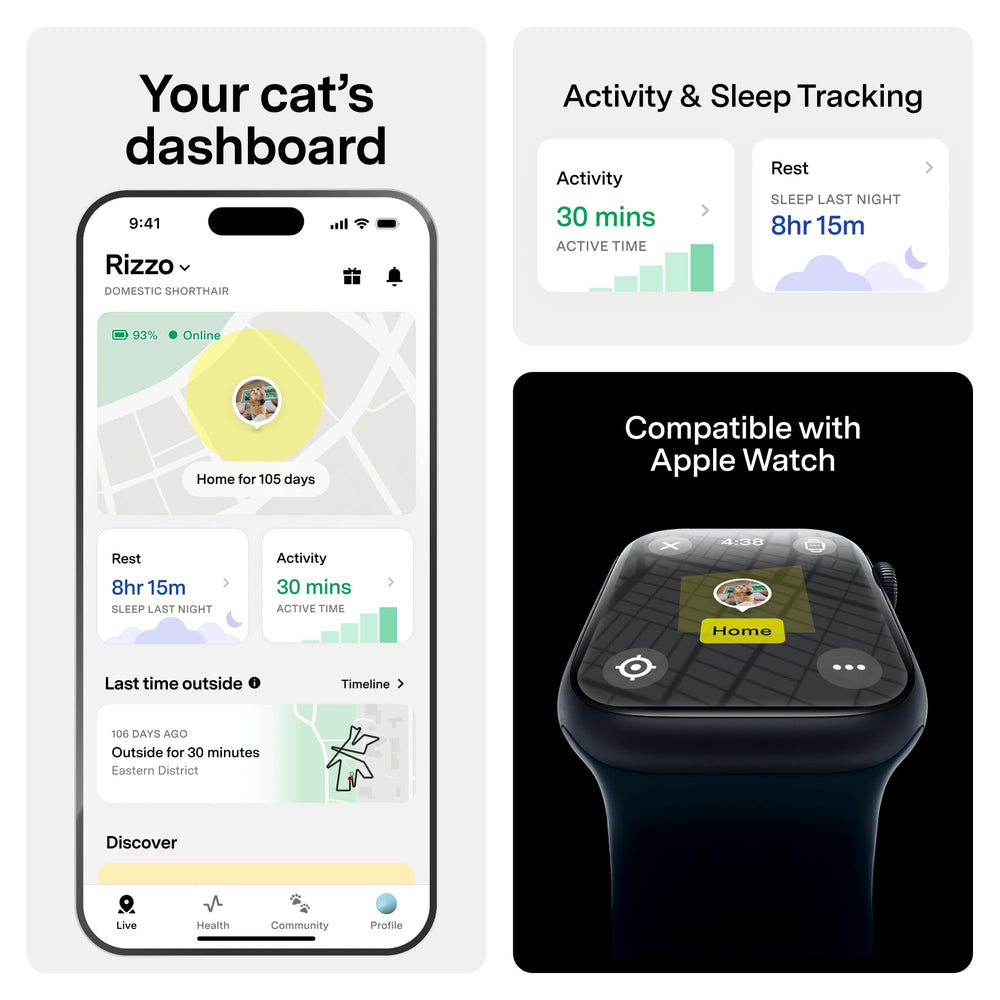 Fi Mini sur chat en extérieur montrant tranquillité et repérage immédiat