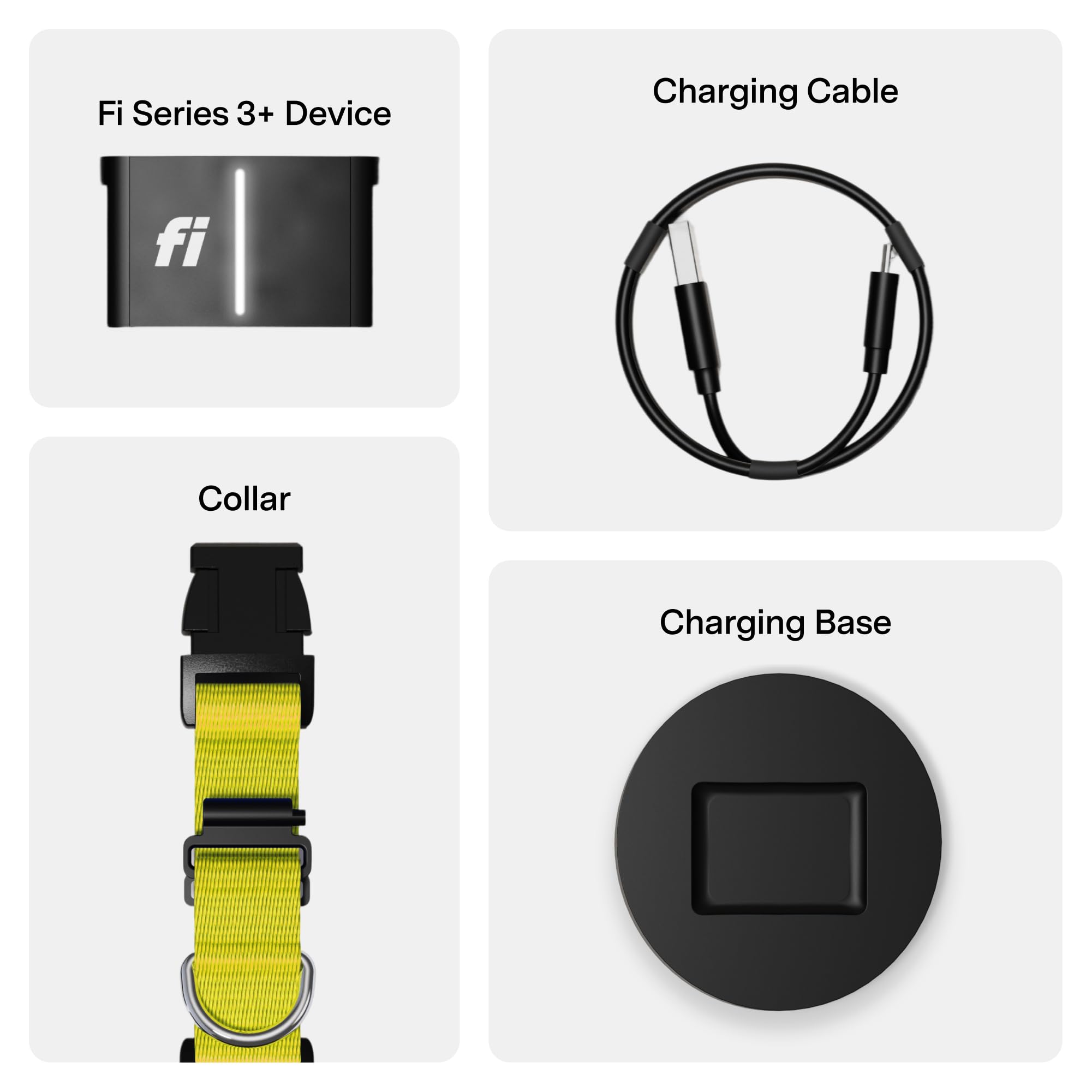 Fi collier Series 3+ porté sur chien taille L pour échelle précise