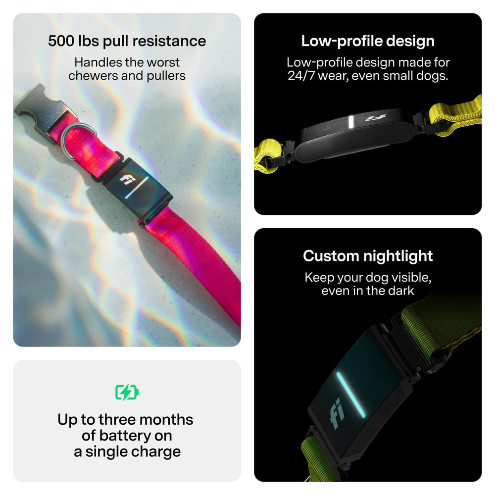 Fi collier Series 3+ comparé à règle pour visualiser taille XS compacte