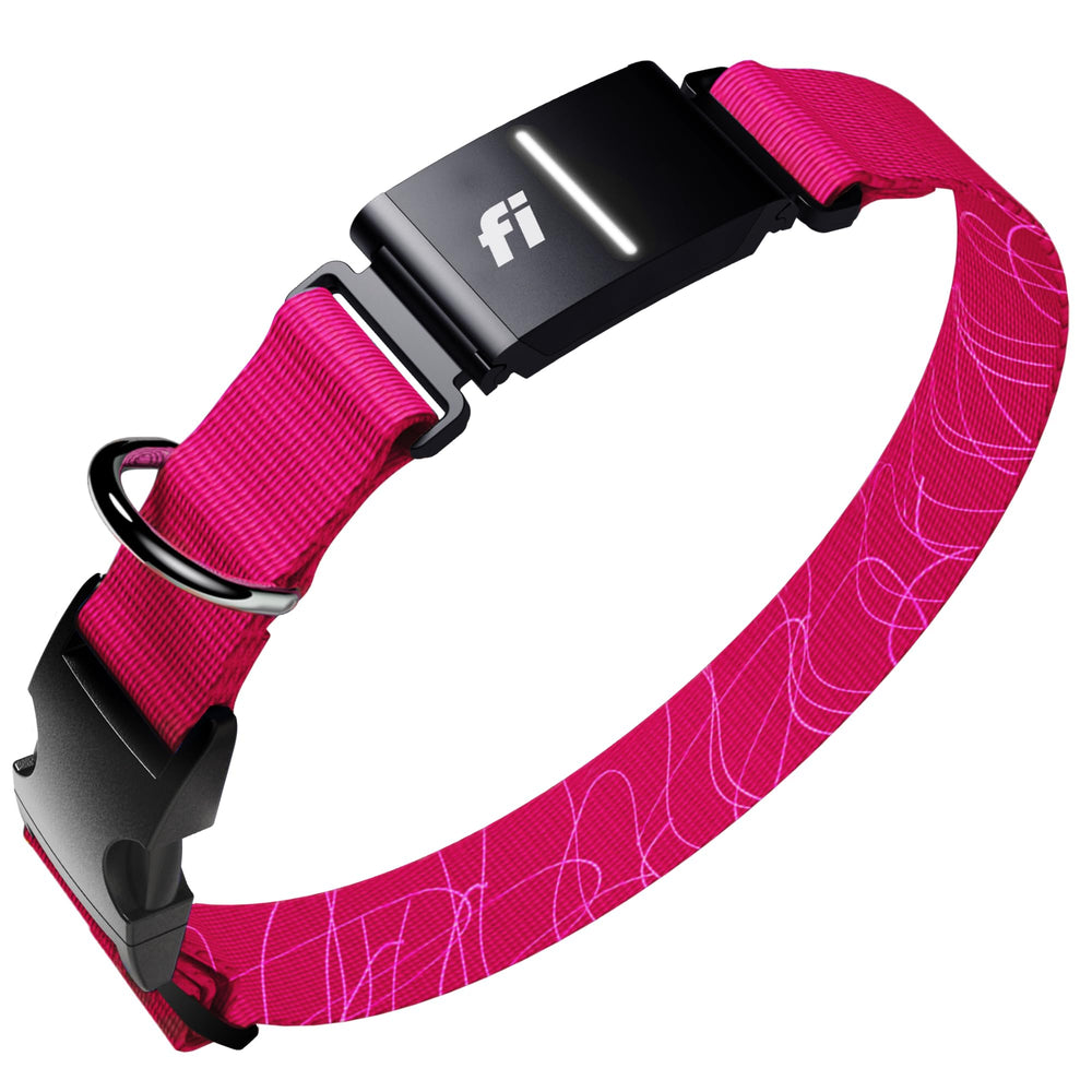 Fi collier Series 3+ face avant rose montrant design et robustesse