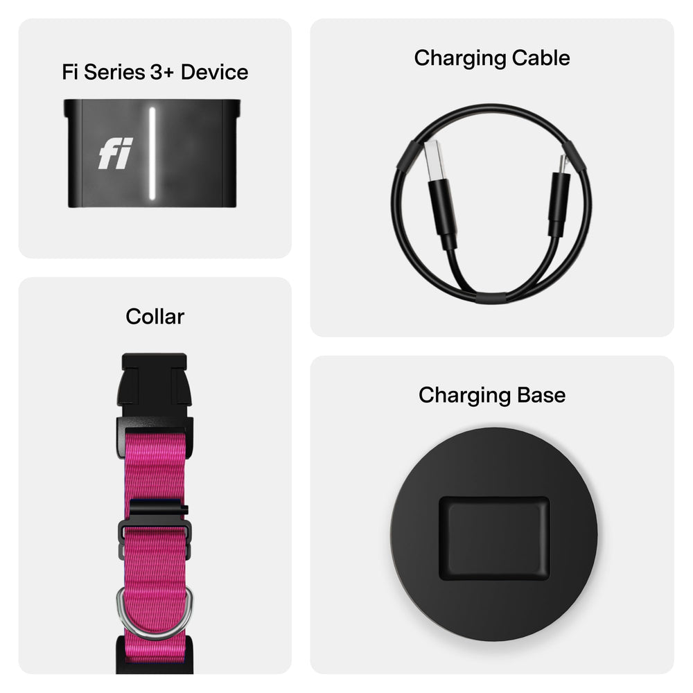 Fi Series 3+ boîte ouverte avec carte d'abonnement mois gratuit inclus