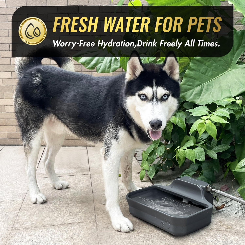 Ficuswin bol en extérieur utilisé par un grand chien, maintient hydratation